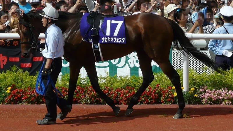 Japanese Racing Sensation Nakayama Festa Passes Away at Tragic Age of 20