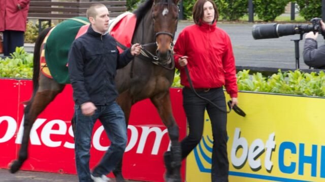 Hurricane Fly, Irish racehorse, dies at age 22
