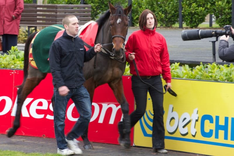 Hurricane Fly, Irish racehorse, dies at age 22